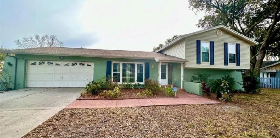 House in Lutz, Florida 3 bedrooms, 188.31 sq.m. № 1797398