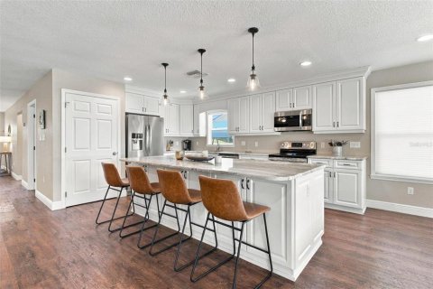 Villa ou maison à vendre à Weirsdale, Floride: 4 chambres, 240.8 m2 № 2424218 - photo 16