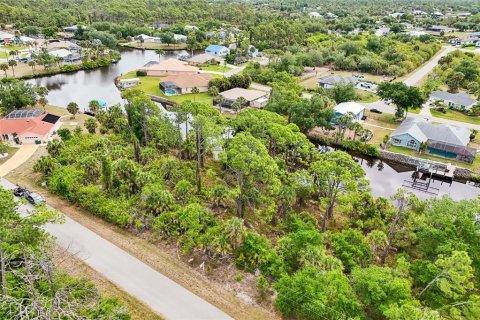 Land in Port Charlotte, Florida № 2166186 - photo 2