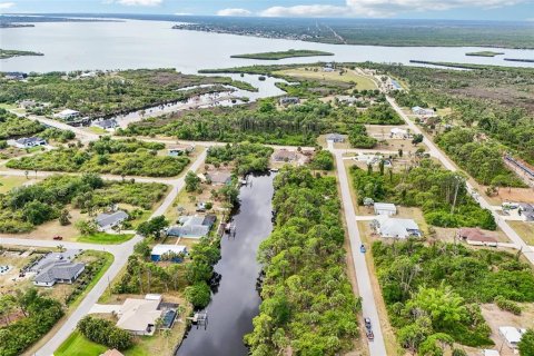 Land in Port Charlotte, Florida № 2166186 - photo 8