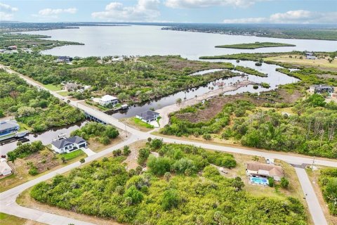 Land in Port Charlotte, Florida № 2166186 - photo 7