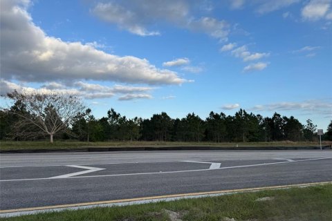 Land in Lake Placid, Florida № 1724483 - photo 1