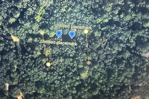 Land in Orange Springs, Florida № 2163497