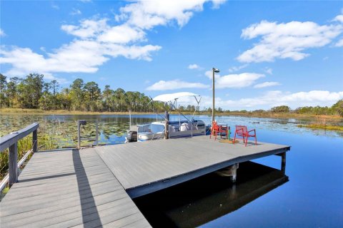 House in Winter Garden, Florida 3 bedrooms, 255.48 sq.m. № 1574785 - photo 26