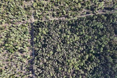 Land in Naples, Florida № 2166054 - photo 11