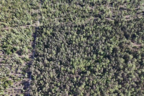 Land in Naples, Florida № 2166054 - photo 10