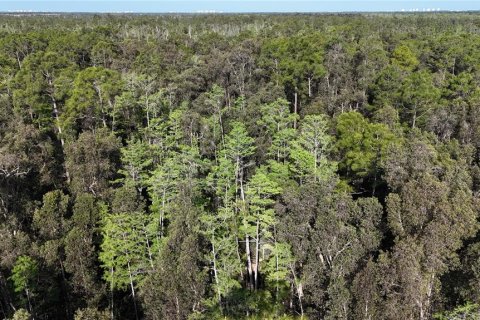 Land in Naples, Florida № 2166054 - photo 2