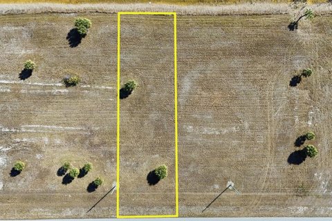Land in Placida, Florida № 2233324 - photo 3