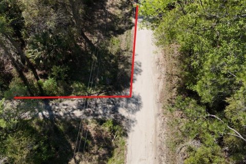 Land in Citra, Florida № 2212339 - photo 10