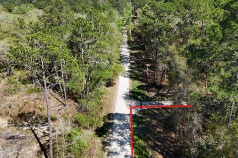 Land in Citra, Florida № 2212339 - photo 11