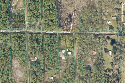 Land in Citra, Florida № 2212339 - photo 4