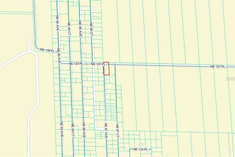 Land in Citra, Florida № 2212339 - photo 3