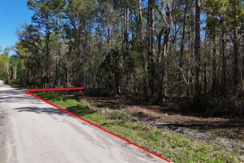 Land in Citra, Florida № 2212339 - photo 8