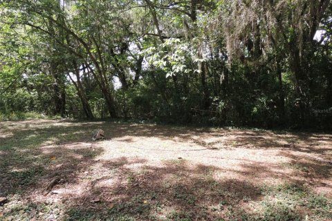 House in Williston, Florida 2 bedrooms, 59.83 sq.m. № 2217020 - photo 6