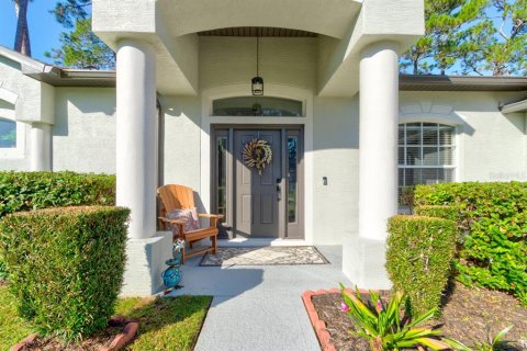 Villa ou maison à vendre à Palm Coast, Floride: 4 chambres, 219.34 m2 № 2416542 - photo 3