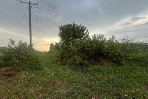 Terreno en Okeechobee, Florida № 2205790