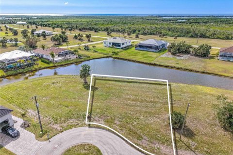 Terreno en venta en Punta Gorda, Florida № 2212824 - foto 7