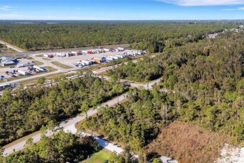 Terrain à vendre à Punta Gorda, Floride № 2233896 - photo 6