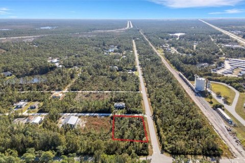 Land in Punta Gorda, Florida № 2233896
