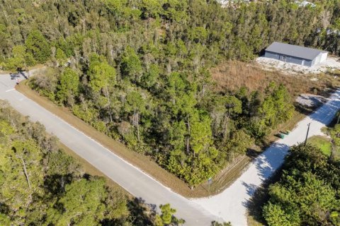 Terrain à vendre à Punta Gorda, Floride № 2233896 - photo 4