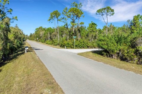 Terrain à vendre à Punta Gorda, Floride № 2233896 - photo 8