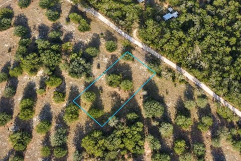 Land in Branford, Florida № 2368763