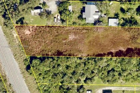 Land in Grant-Valkaria, Florida № 1995864 - photo 6