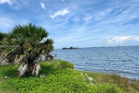 Land in Grant-Valkaria, Florida № 1995864 - photo 7