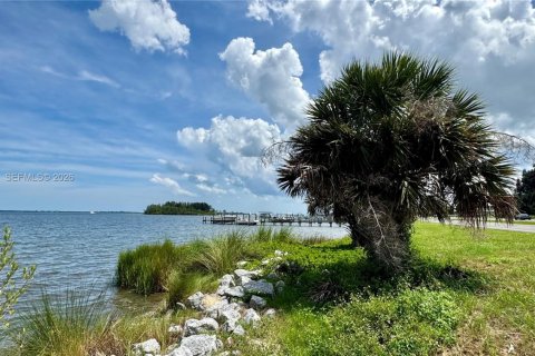 Land in Grant-Valkaria, Florida № 1995864 - photo 13