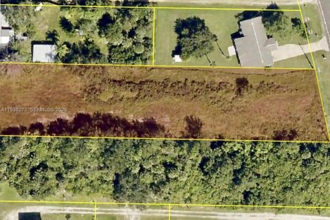 Land in Grant-Valkaria, Florida № 1995864 - photo 5