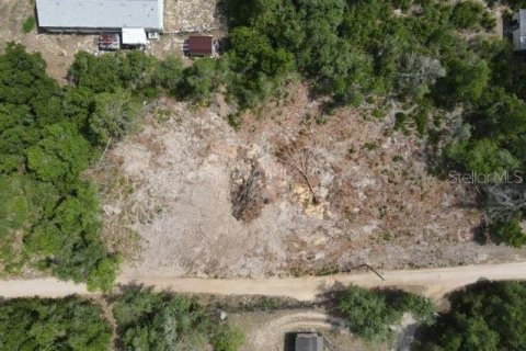 Terreno en Umatilla, Florida № 2195506