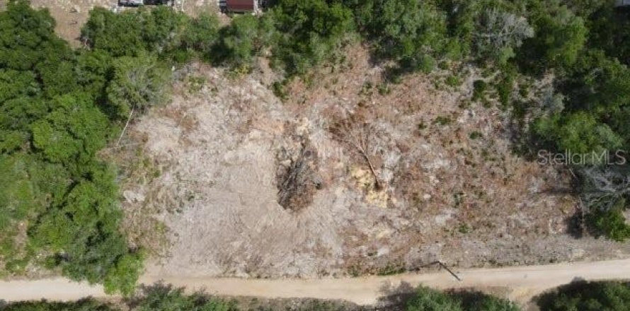 Terreno en Umatilla, Florida № 2195506