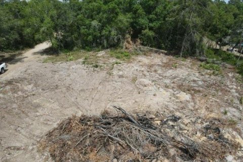 Terreno en venta en Umatilla, Florida № 2195506 - foto 4