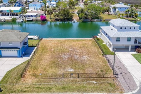 Land in Hernando Beach, Florida № 2166100 - photo 4