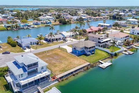 Land in Hernando Beach, Florida № 2166100 - photo 8
