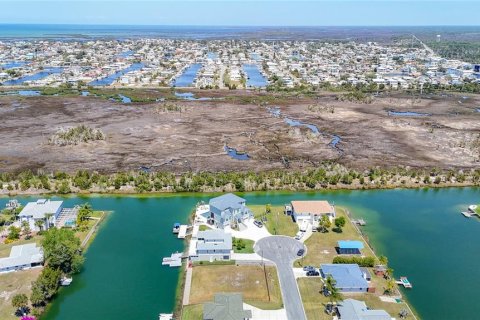 Land in Hernando Beach, Florida № 2166100 - photo 11