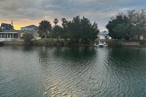Land in Hernando Beach, Florida № 2166100 - photo 15