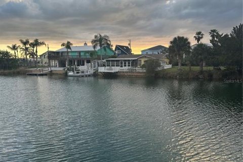 Land in Hernando Beach, Florida № 2166100 - photo 12
