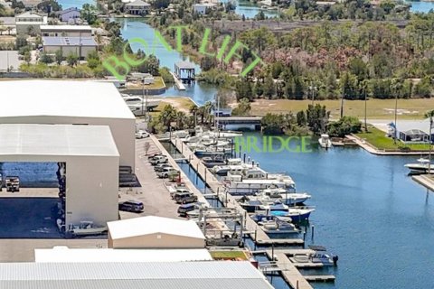 Land in Hernando Beach, Florida № 2166100 - photo 20