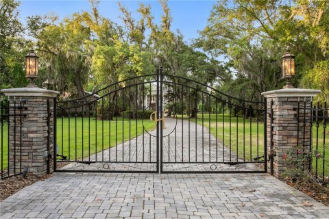 Villa ou maison à vendre à Odessa, Floride: 8 chambres, 962.19 m2 № 2139039 - photo 2