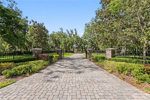 Villa ou maison à vendre à Odessa, Floride: 8 chambres, 962.19 m2 № 2139039 - photo 3
