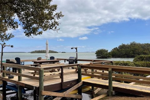 Condo in Tierra Verde, Florida, 1 bedroom № 2148906