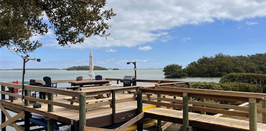 Condo in Tierra Verde, Florida, 1 bedroom  № 2148906