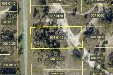 Land in Lehigh Acres, Florida № 2164203