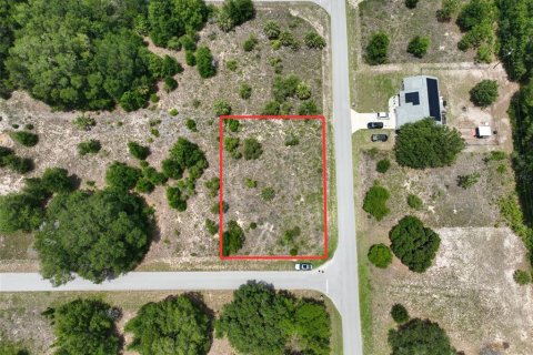 Land in Dunnellon, Florida № 2162347 - photo 2