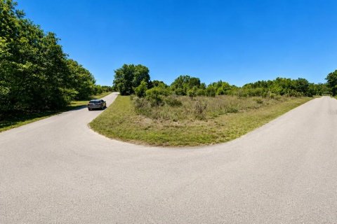 Terreno en venta en Dunnellon, Florida № 2162347 - foto 6