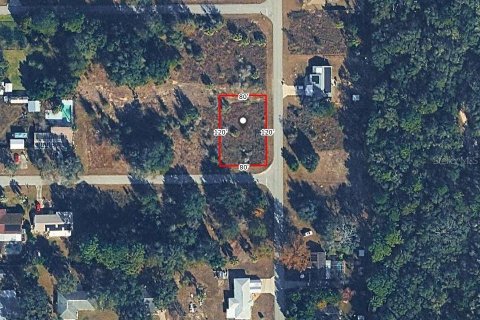 Land in Dunnellon, Florida № 2162347 - photo 4