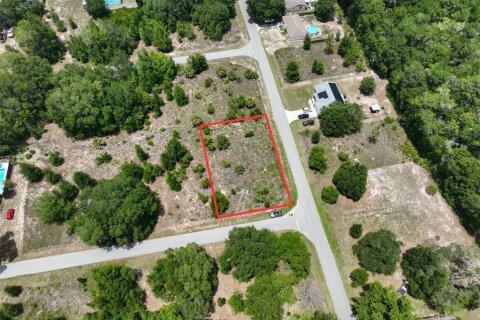 Land in Dunnellon, Florida № 2162347 - photo 3
