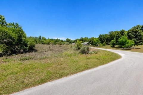 Terreno en venta en Dunnellon, Florida № 2162347 - foto 5