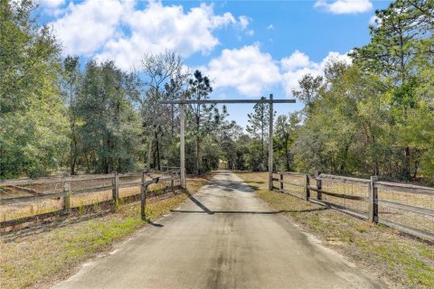 Villa ou maison à vendre à Keystone Heights, Floride: 3 chambres, 337.89 m2 № 1733958 - photo 8